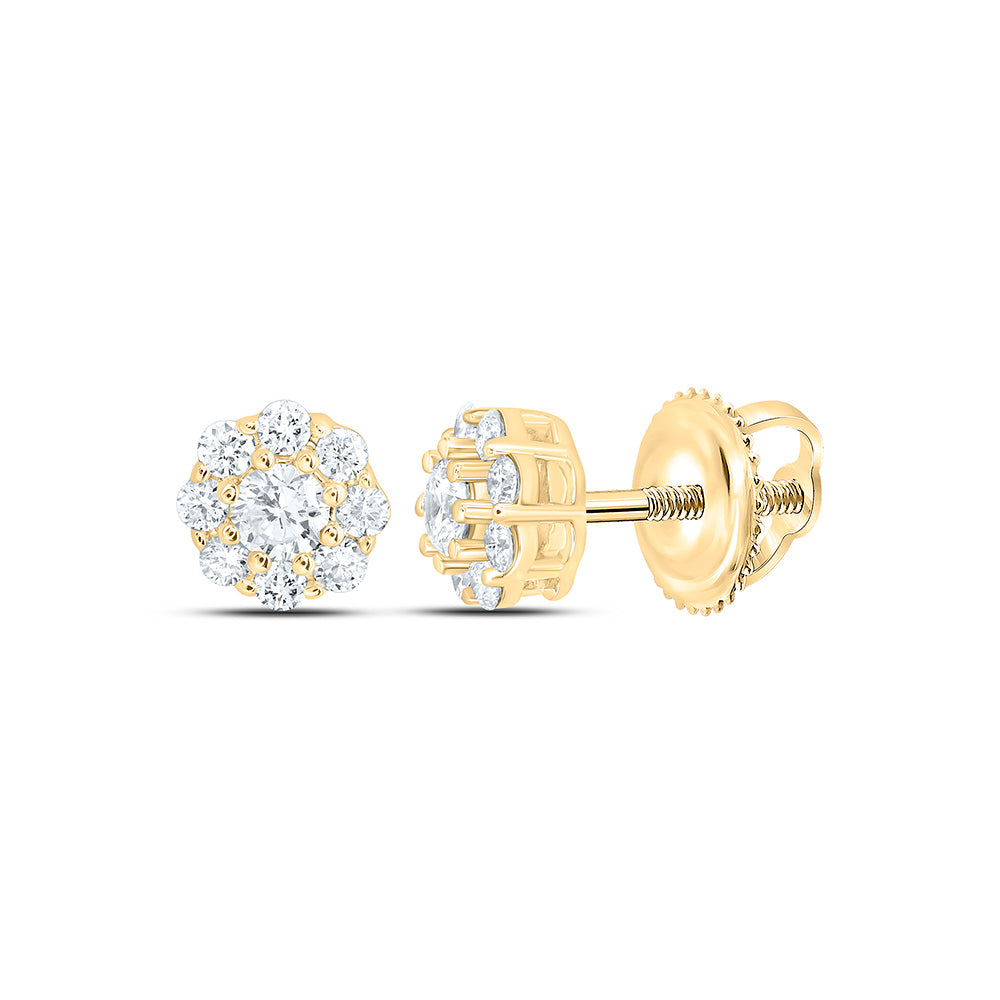 10K Yellow Or White Gold 1/4 Cttw Lab Grown Diamond Fashion Flower Earring