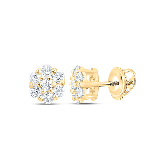 10K Yellow Or White Gold 3/8 Cttw Lab Grown Diamond Fashion Flower Earring