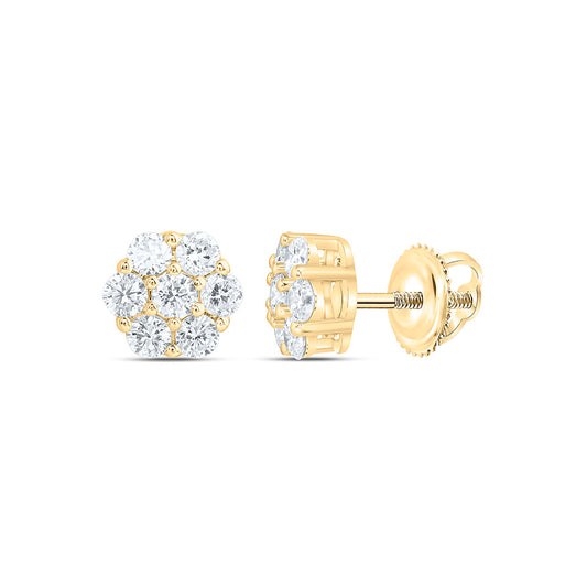 10K Yellow Or White Gold 3/4 Cttw Lab Grown Diamond Fashion Flower Earring