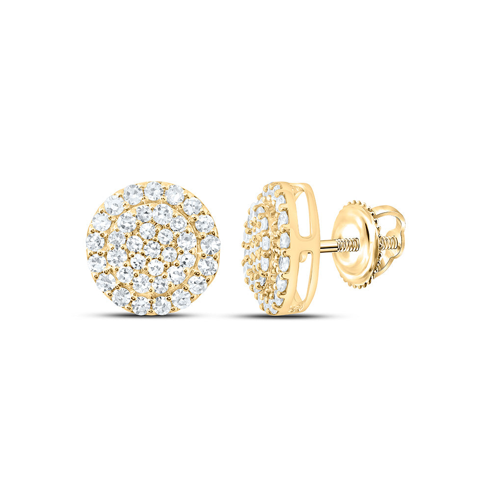 10K Yellow Or White Gold 1/2 Cttw Lab Grown Diamond Round Earring