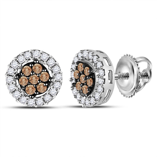 10K White Or Yellow Gold Womens Brown Diamond Flower Cluster Stud Earrings