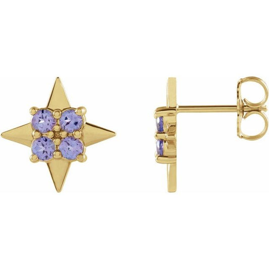 14K Yellow Gold 2.5 Mm Round Friction Back Polished Natural Tanzanite Star Stud Earrings