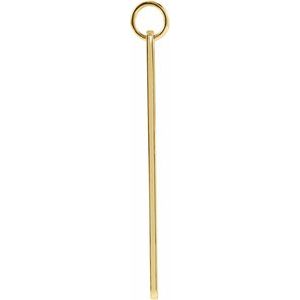14K Yellow Gold 33 X 4.5 Mm Polished Rounded Retangle Pendant
