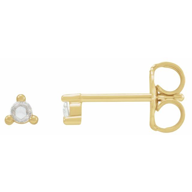 14K Yellow Or White Or Rose Gold Round Friction Backs Polished Natural Diamond Rose-Cut 3-Prong Earrings