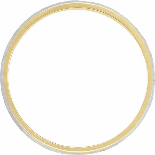 14K Yellow/White Or White/Rose Gold Polished Flat Diamond Edge Inlay Band