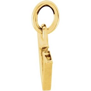 14K Yellow Gold Polished Lowercase Initial Pendant