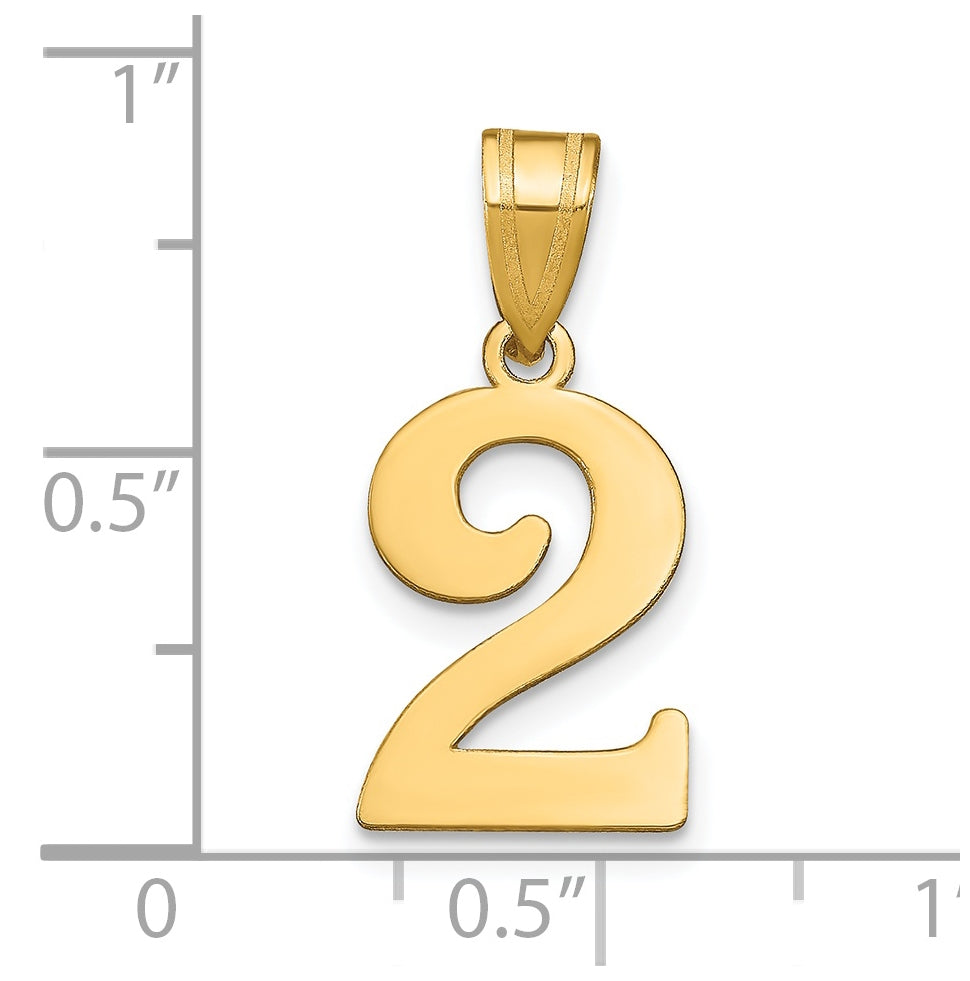 14K Yellow Gold Polished Number 2 Pendant