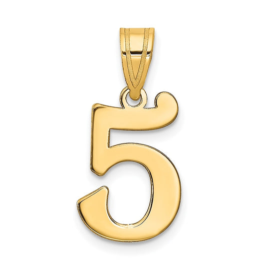 14K Yellow Gold Polished Number 5 Pendant