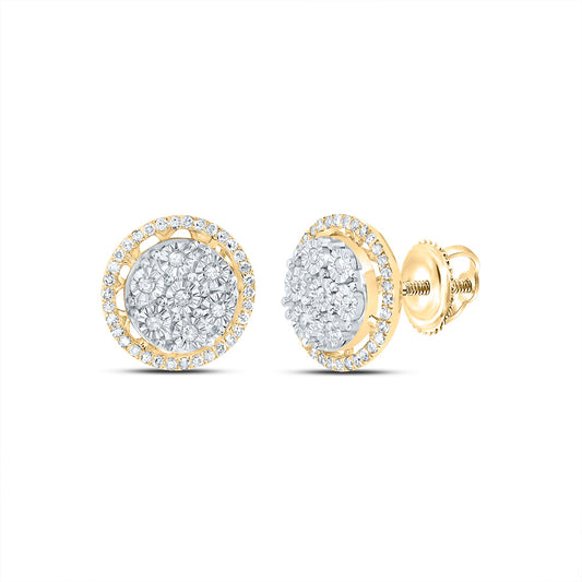 10kt Yellow Gold 1/3 Cttw Natural Diamond Round Stud Earring