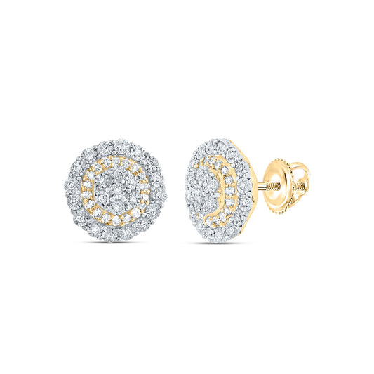 10kt Yellow Gold 1/4 Cttw Natural Diamond Flower Earring