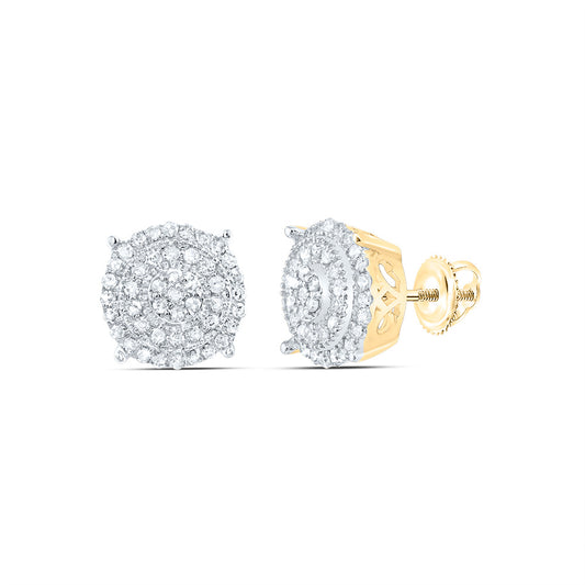 10kt Yellow Gold 1/4 Cttw Diamond Round Stud Earring