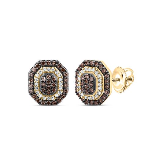 10kt Yellow Gold 1/3 Cttw Diamond Octagon Cognac Natural Stud Earring