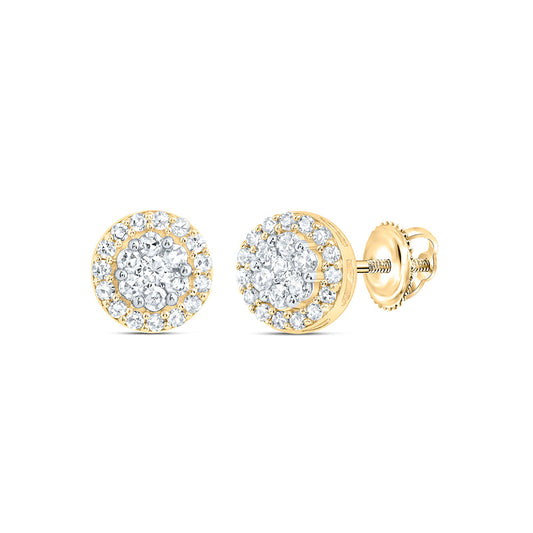 10kt Yellow Gold 1/4 Cttw Diamond Round Flower Stud Earring