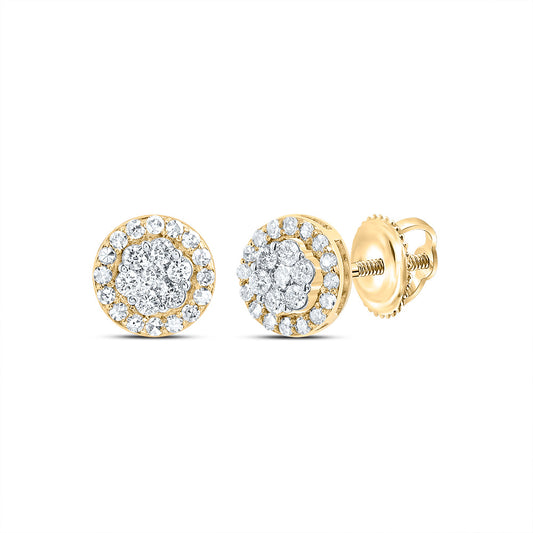 10kt Yellow Gold 1/2 Cttw Diamond Round Flower Stud Earring
