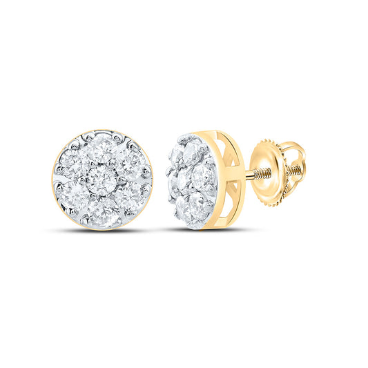 10K Yellow Or White Gold 1/2Cttw Natural Diamond Fashion Flower Earring