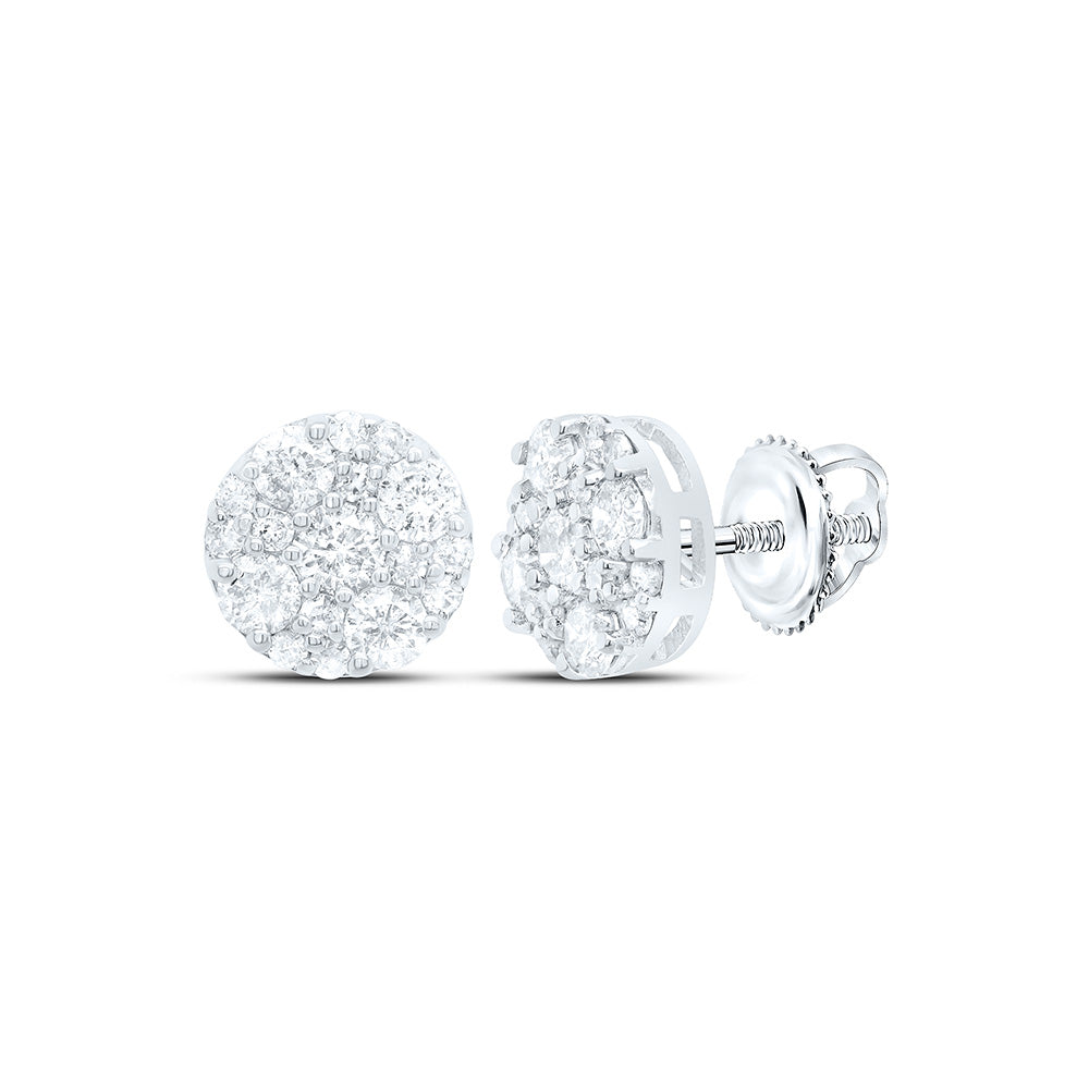 10K Yellow Or White Gold 1/2Cttw Natural Diamond Gift Round Earring