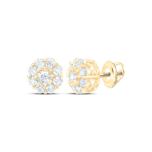 10K Yellow Or White Gold 1/2Cttw Natural Diamond Gift Flower Earring