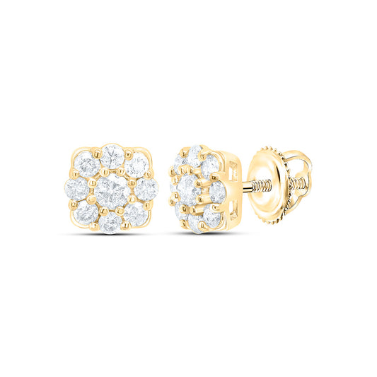 10K Yellow Or White Gold 1/2Cttw Natural Diamond Gift Flower Earring