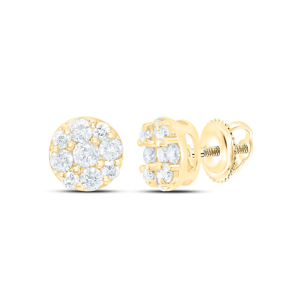 10K Yellow Or White Gold 1/2Cttw Natural Diamond Gift Round Earring