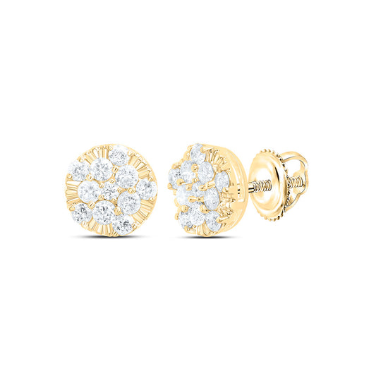 10K Yellow Gold 1/2Cttw Natural Diamond Gift Round Earring