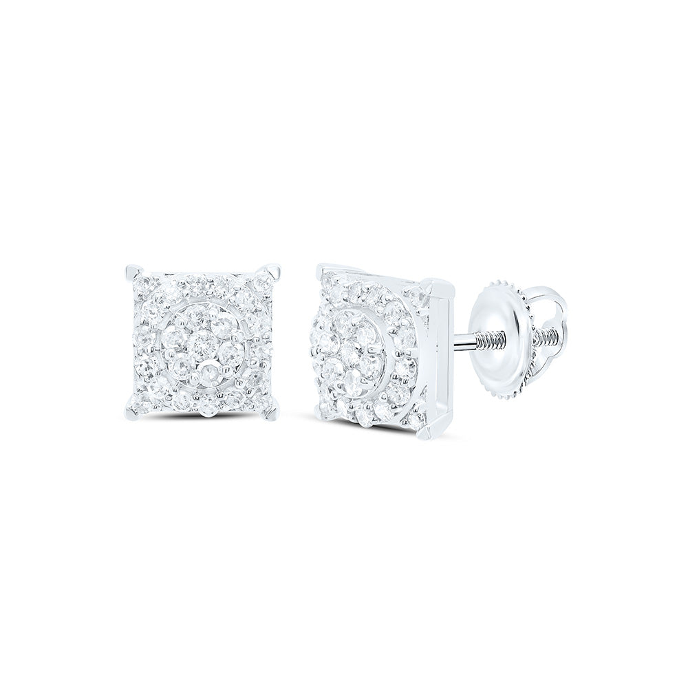 10K White Gold 1/3Cttw Natural Diamond Gift Earring