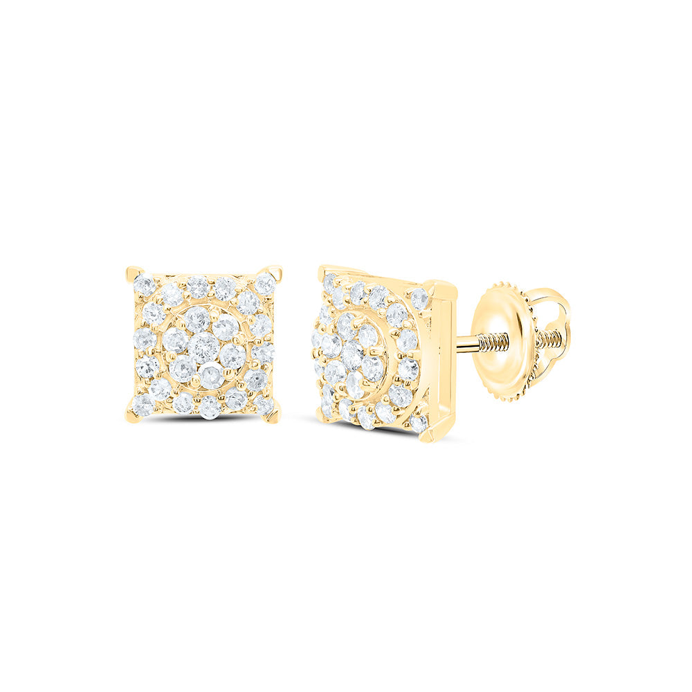 10K White Gold 1/3Cttw Natural Diamond Gift Earring