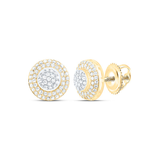10K Yellow Or White Gold 5/8Cttw Natural Diamond Nk Fashion Round Earring