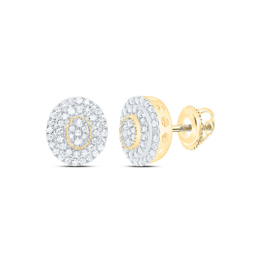 10K Yellow Gold 3/8Cttw Natural Diamond Nk Fashion Oval Earring