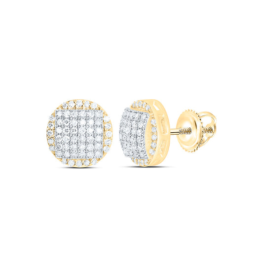 10K Yellow Gold 3/8Cttw Natural Diamond Nk Fashion Round Earring