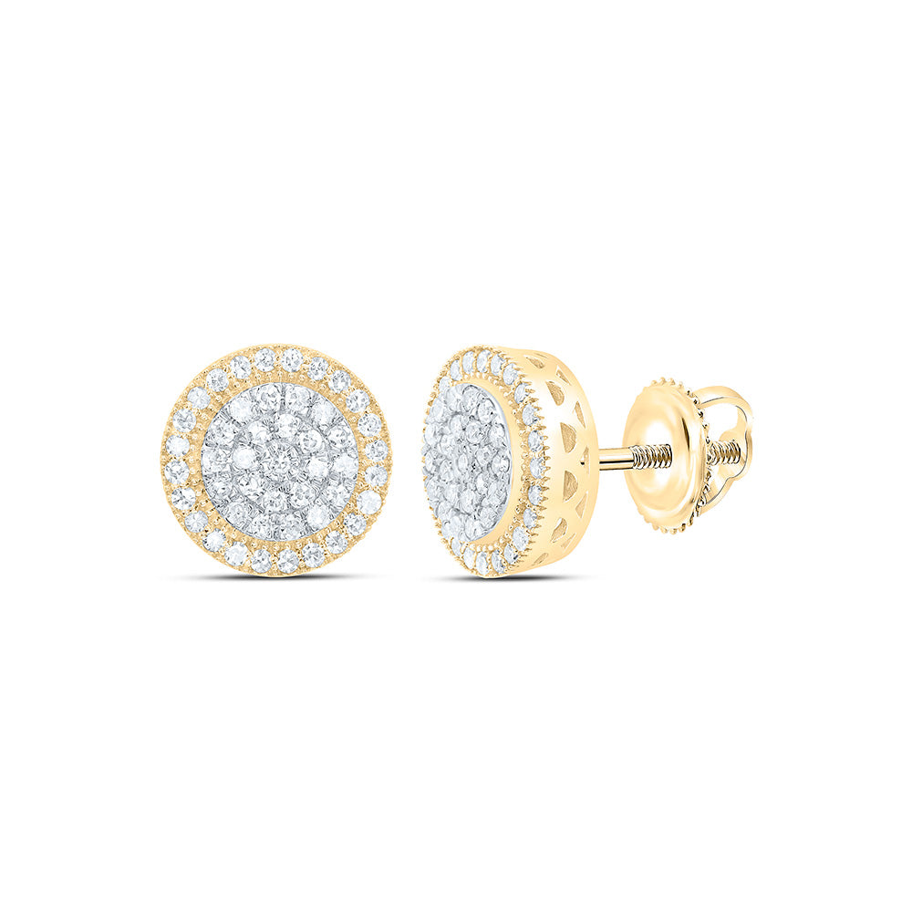 10K Yellow Gold 1/2Cttw Natural Diamond Nk Fashion Round Earring
