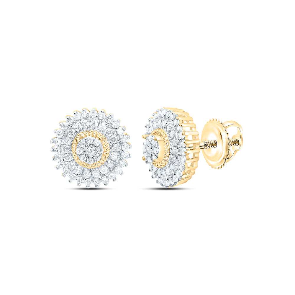 10K Yellow Or White Gold 3/8Cttw Natural Diamond Nk Fashion Round Flower Earring