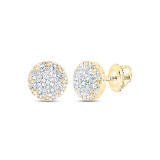 10K Yellow Gold 3/8Cttw Natural Diamond Nk Fashion Round Earring