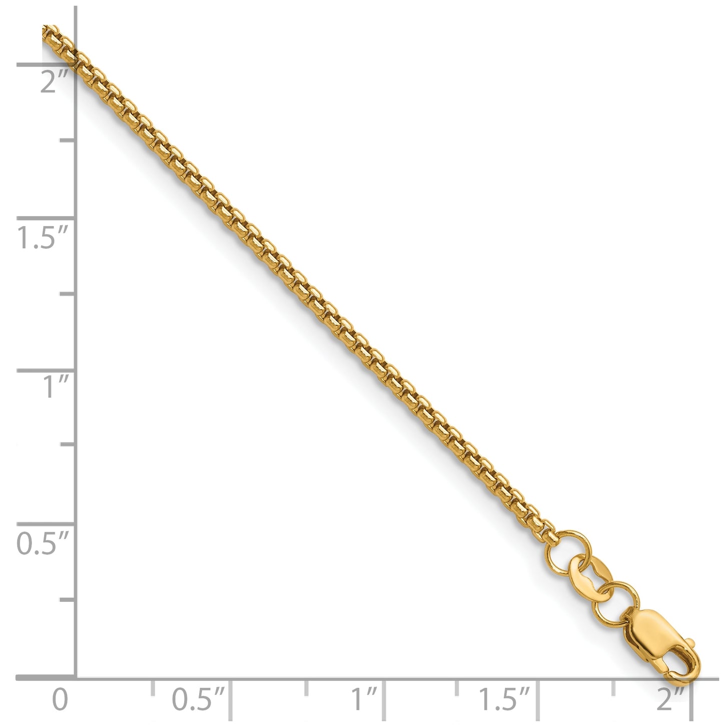 1/20 14K Gold Filled Rnd Venetian Box w/Lobster Clasp Chain