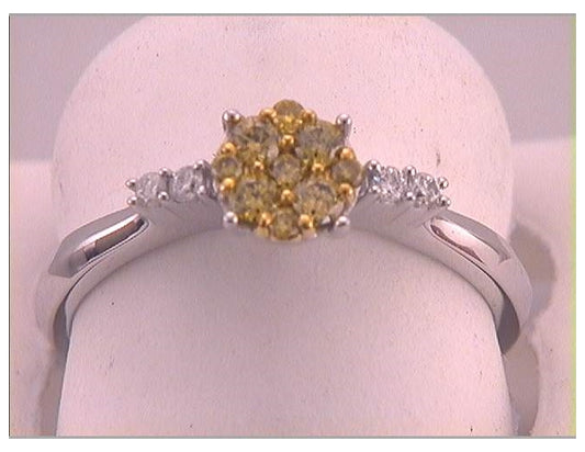 10kt White Gold 1/3ct Diamond Fashion Ring