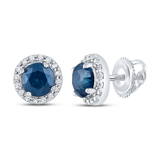 10K White Gold Womens Round Blue Sapphire Halo Earrings 7/8 Cttw