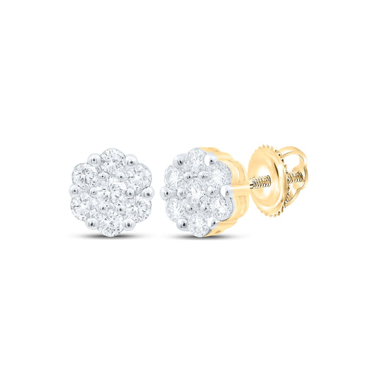 10K Yellow Or White Or Rose Gold Womens Round Diamond Flower Cluster Earrings