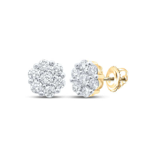 14K White Or Yellow Gold Womens Round Diamond Flower Cluster Earrings