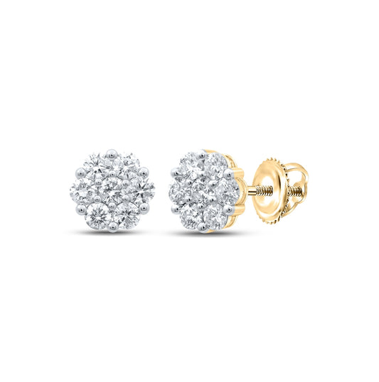 14K White Or Yellow Gold Womens Round Diamond Flower Cluster Earrings