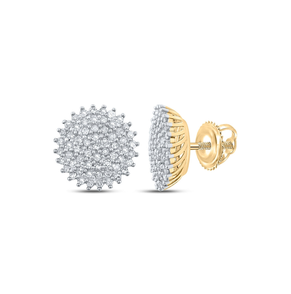 10K Yellow Or White Or Rose Gold Womens Round Diamond Cluster Earrings