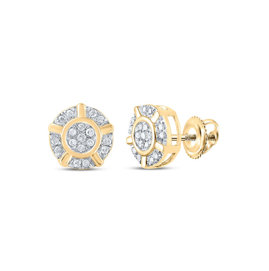 10K Yellow Or White Or Rose Gold Womens Round Diamond Cluster Earrings