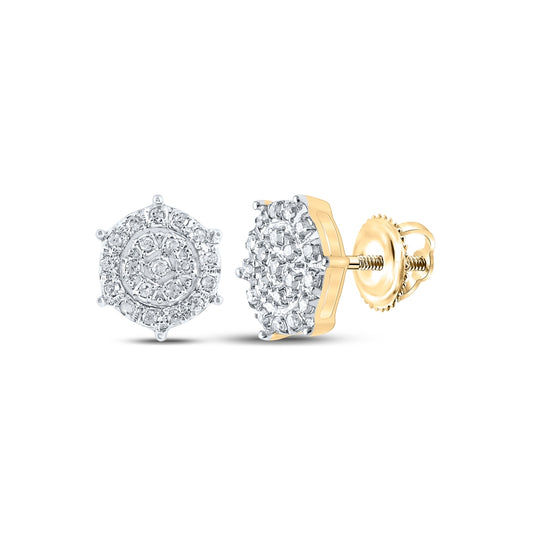 10K Yellow Or White Or Rose Gold Womens Round Diamond Cluster Earrings