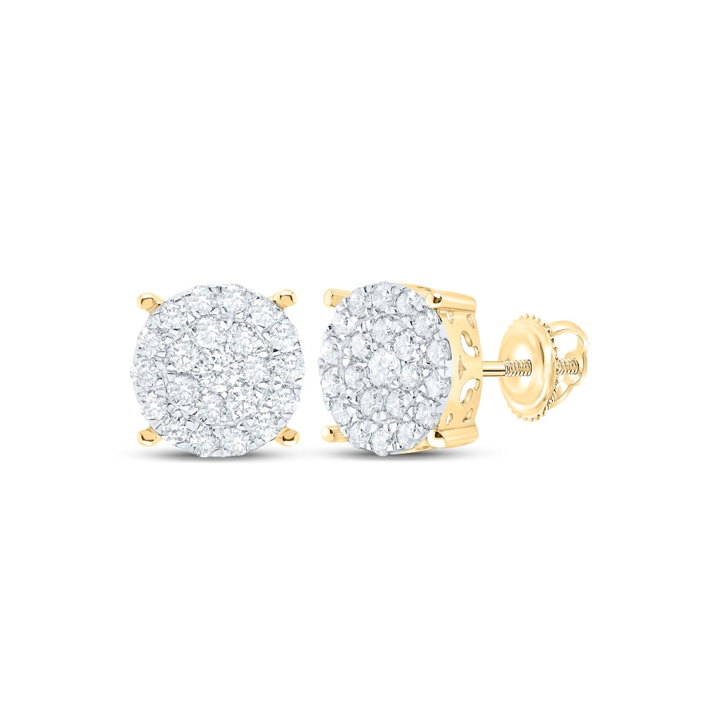 10K Yellow Or White Or Rose Gold Womens Round Diamond Cluster Earrings