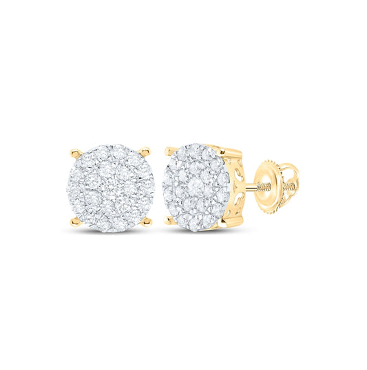 10K Yellow Or White Or Rose Gold Womens Round Diamond Cluster Earrings