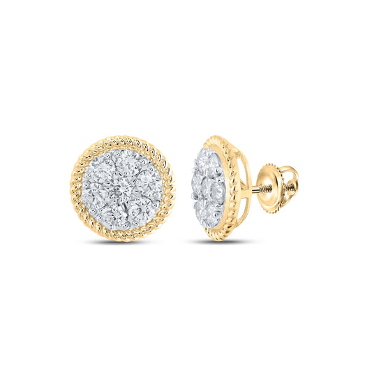 10K White Or Yellow Gold Womens Round Diamond Cluster Earrings