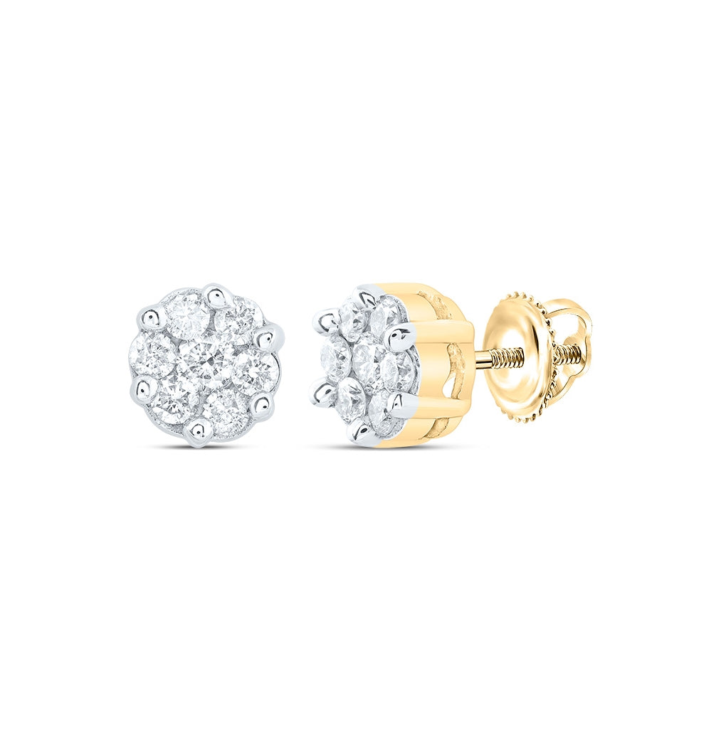 10K Yellow Or White Or Rose Gold Womens Round Diamond Flower Cluster Earrings
