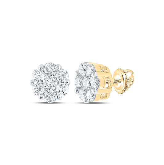 14K White Or Yellow Gold Womens Round Diamond Flower Cluster Earrings