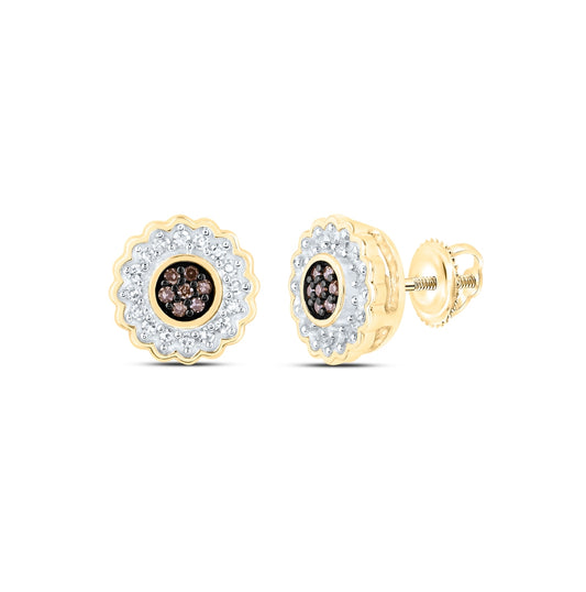 10K Yellow Or Rose Gold Womens Round Brown Diamond Circle Earrings