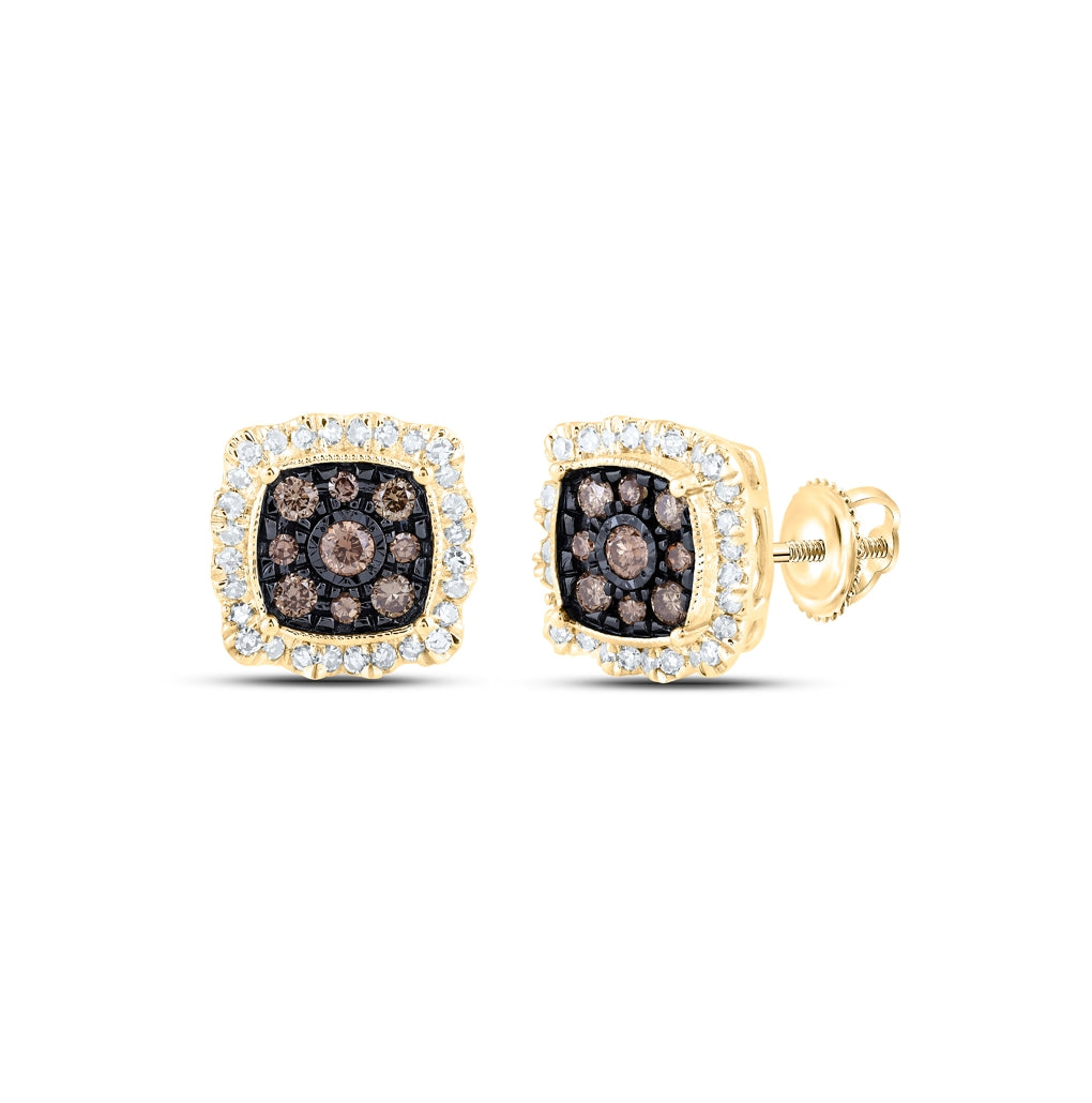 10K Yellow Or Rose Gold Womens Round Brown Diamond Square Earrings