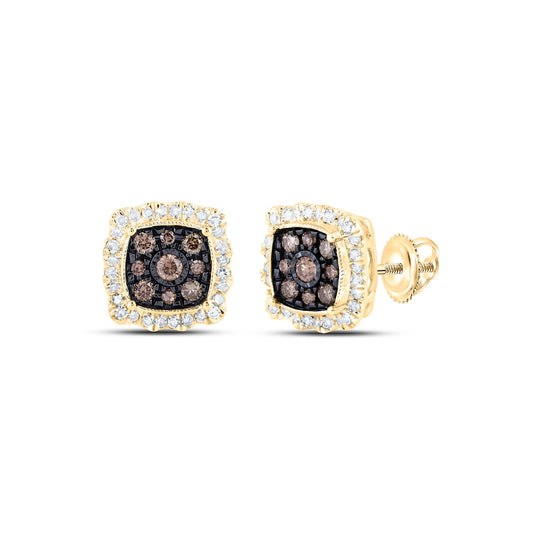 10K Yellow Or Rose Gold Womens Round Brown Diamond Square Earrings