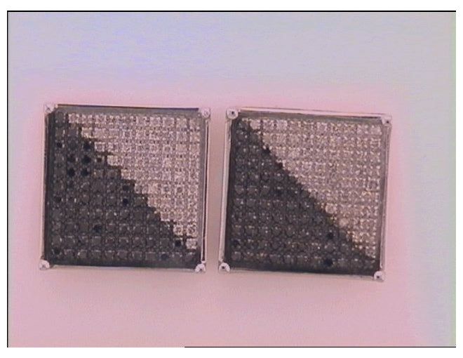 10kt White Gold 3/4ct Diamond Micro-pave Earring